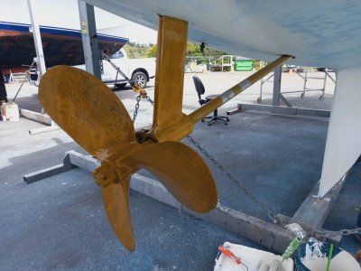 WhatsApp Image 2026-04-07 at 14.11.07 (2).jpeg