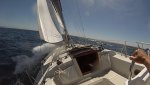 Thelonious II under sail 8.16.jpg