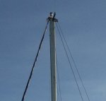 Picture 004 CROPPED.jpg