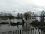 Purley on Thames.jpg Purley on Thames.jpg