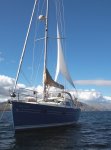 Delta riding sail 1.jpg