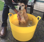 Screen Shot 2018-12-02 at 14.46.30.png