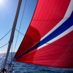 IMG_1282.jpg IMG_1282.jpg