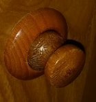 Nubbin2.jpg Nubbin2.jpg