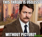 this-thread-is-useless-without-pictures.png