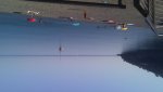 20190627_082448.jpg