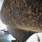 29425250_1617228231679186_564337610110009344_o.jpg 29425250_1617228231679186_564337610110009344_o.jpg