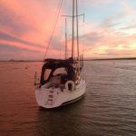 Feeling Foxy eve.jpg