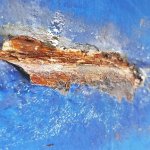 Resizer_15535837120482.jpg Resizer_15535837120482.jpg