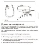 Mercury 2.5 and 3.3 flushing.JPG Mercury 2.5 and 3.3 flushing.JPG