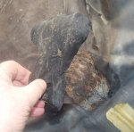 DSCF8685.JPG DSCF8685.JPG