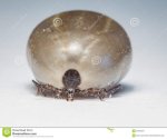 large-tick-parasite-full-sized-dog-sheep-53469441.jpg
