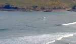 Polzeath surfing.jpg