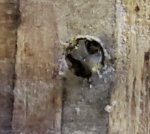 broken drill bit.jpg