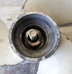 20200515_151017 1.jpg