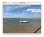 Ruby Bradwell beach.png