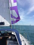 Concerto spinnaker 7 July 2017 D low res.jpg