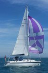 Concerto spinnaker 7 July 2017 A cropped.jpg