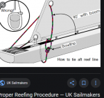Screenshot_2020-06-21 Holding the mainsail clew down to the boom - Google Search.png
