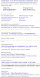 Screenshot_2020-06-23 global yacht charter companies - Google Search.png