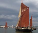 IMAG0181 cropped 1000pix.jpg