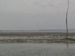 IMG_20160721_075159.jpg