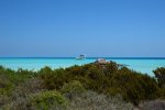 DSC_1122.jpg
