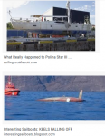 Screenshot_2020-11-17 yachts lose keel - Google Search(1).png