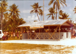 Screenshot_2020-11-22 Funafuti International Airport (1973).png