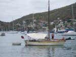 Plumbelly in Bequia.jpg Plumbelly in Bequia.jpg
