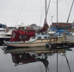 IMG_4609.jpg IMG_4609.jpg