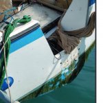 2021-03-13_114556.jpg 2021-03-13_114556.jpg