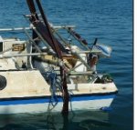 2021-03-13_115318.jpg 2021-03-13_115318.jpg