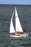 IMG_1289.jpg