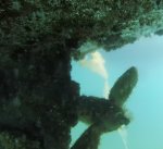 Screenshot 2021-05-11 at 07.42.10.jpg