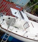 Phoenix bimini.jpg