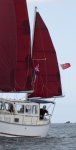 low res mizzen.jpg low res mizzen.jpg
