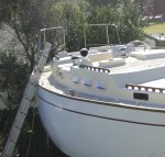 _IGP7370 cropped.jpg