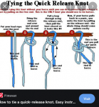 Screenshot 2021-10-08 at 17-50-34 horse slip knot - Google Search.png