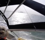 Screenshot 2022-01-10 at 12.02.32.png