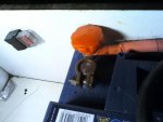 picture of battery connection.jpg picture of battery connection.jpg