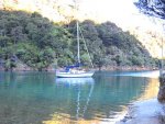 Marlborough Sounds.jpg