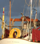 1644070935371.png 1644070935371.png