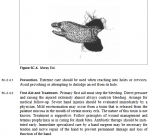 Screenshot 2022-03-23 at 19-24-02 Chap5c.frm - chap5c.pdf.png