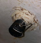 Screenshot 2022-04-02 at 8.33.29 AM.png