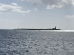 IMG_4047 1000pix Coquet Island.jpg