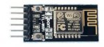 Wifi module 1.JPG