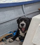 Resizer_16599721336761.jpeg Resizer_16599721336761.jpeg